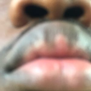 Meet your Posher, Marcus